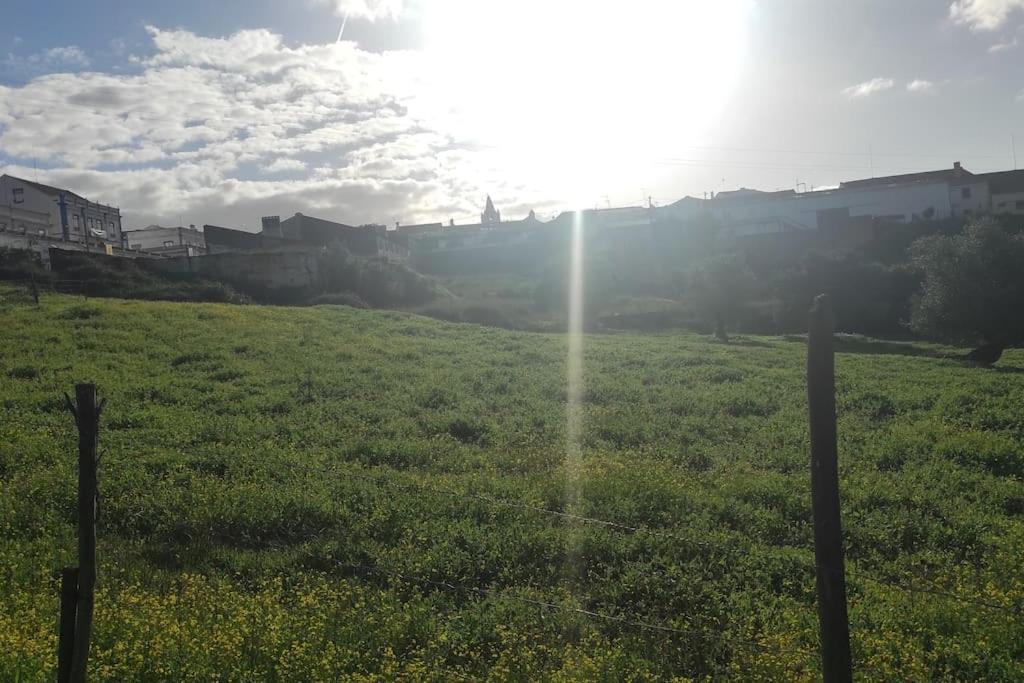 Nova Quinta Moderna Torramo Em Oliveiras, Campo De Laranjas, Na Nacional 2, Alentejo 13750 M2 Villa Torrao  Ngoại thất bức ảnh
