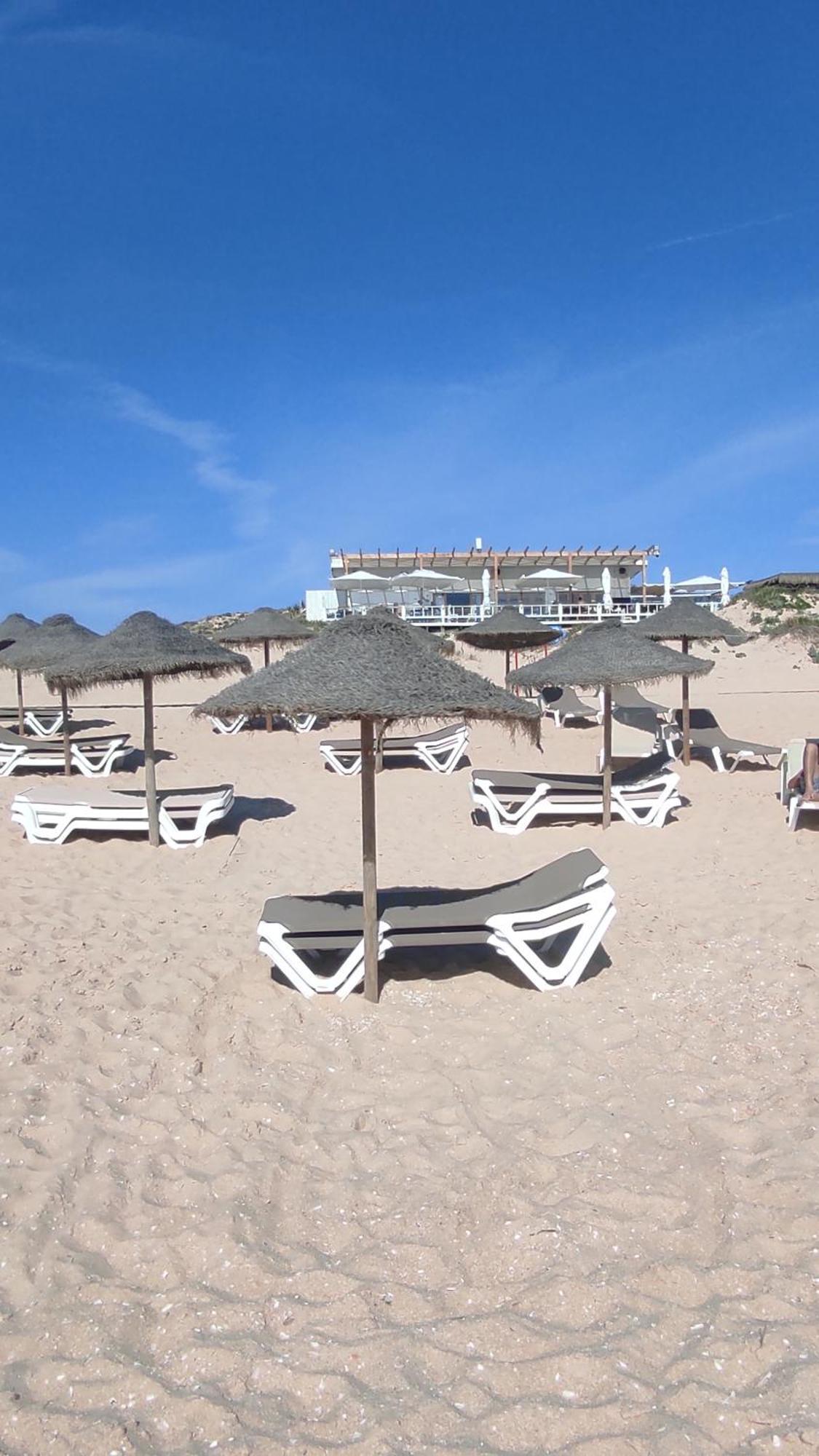 Nova Quinta Moderna Torramo Em Oliveiras, Campo De Laranjas, Na Nacional 2, Alentejo 13750 M2 Villa Torrao  Ngoại thất bức ảnh