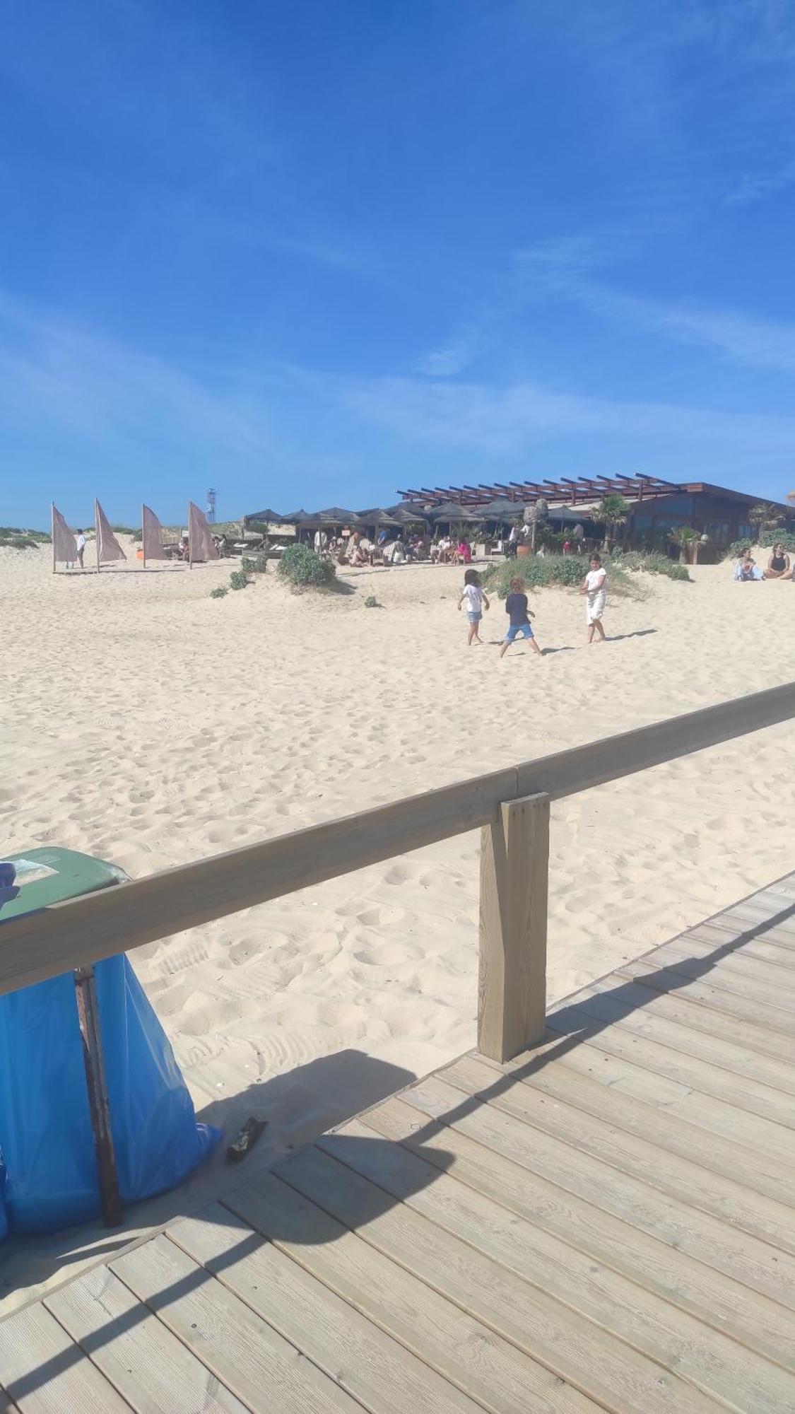 Nova Quinta Moderna Torramo Em Oliveiras, Campo De Laranjas, Na Nacional 2, Alentejo 13750 M2 Villa Torrao  Phòng bức ảnh