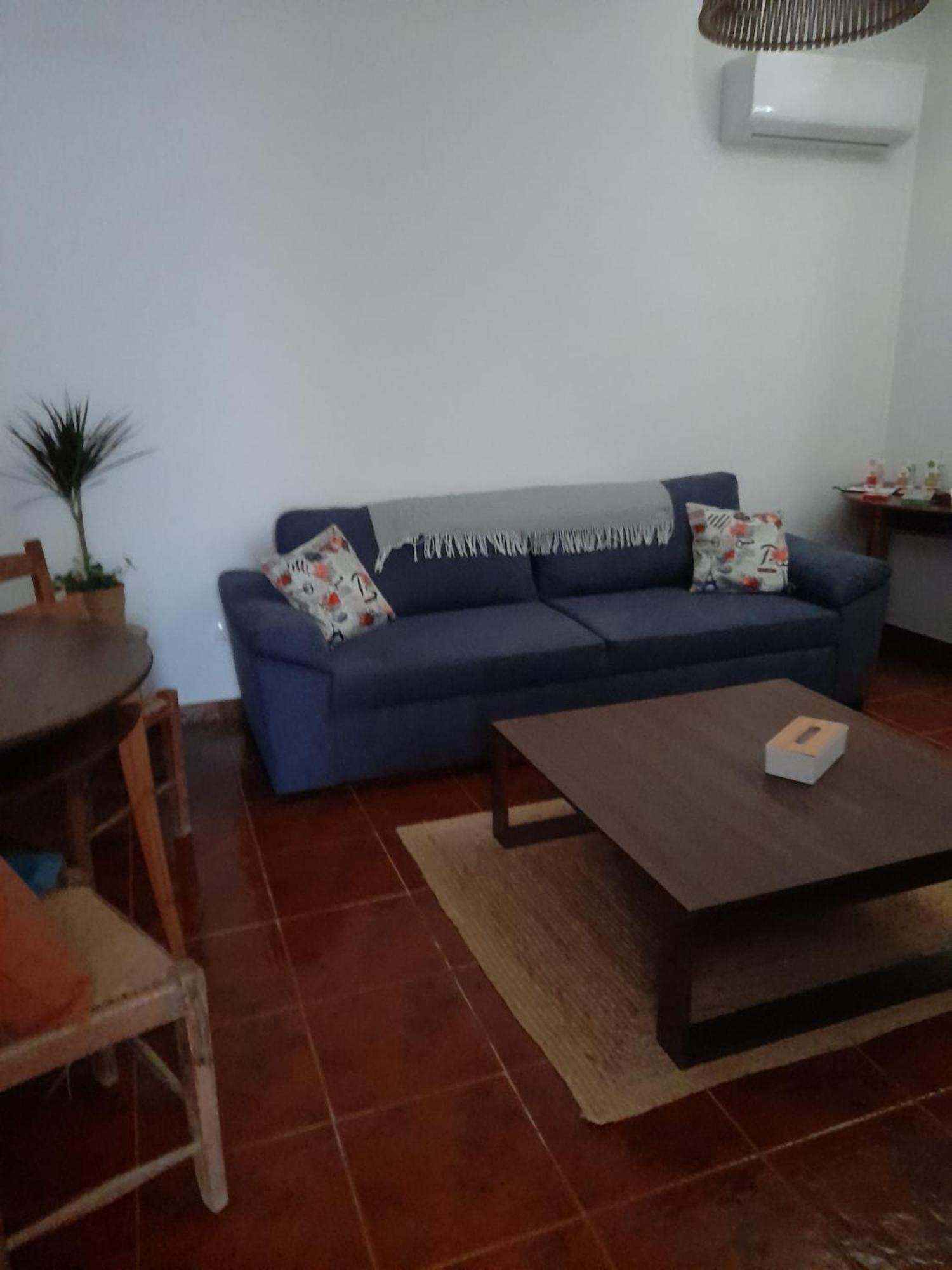 Nova Quinta Moderna Torramo Em Oliveiras, Campo De Laranjas, Na Nacional 2, Alentejo 13750 M2 Villa Torrao  Ngoại thất bức ảnh