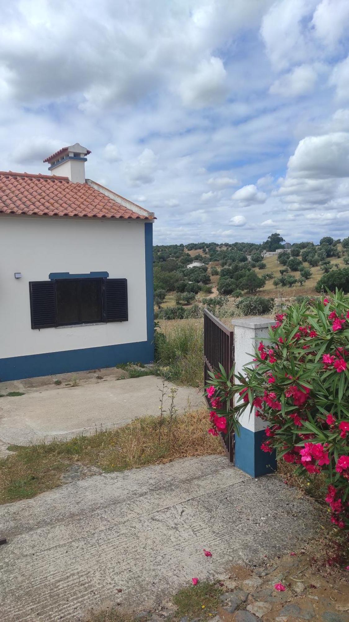 Nova Quinta Moderna Torramo Em Oliveiras, Campo De Laranjas, Na Nacional 2, Alentejo 13750 M2 Villa Torrao  Ngoại thất bức ảnh