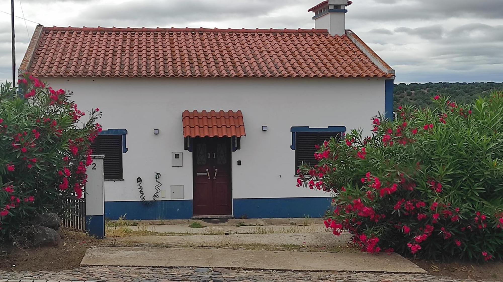 Nova Quinta Moderna Torramo Em Oliveiras, Campo De Laranjas, Na Nacional 2, Alentejo 13750 M2 Villa Torrao  Ngoại thất bức ảnh