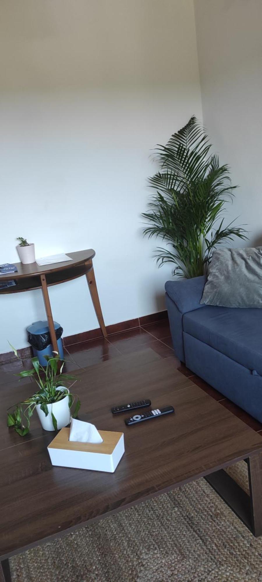 Nova Quinta Moderna Torramo Em Oliveiras, Campo De Laranjas, Na Nacional 2, Alentejo 13750 M2 Villa Torrao  Ngoại thất bức ảnh
